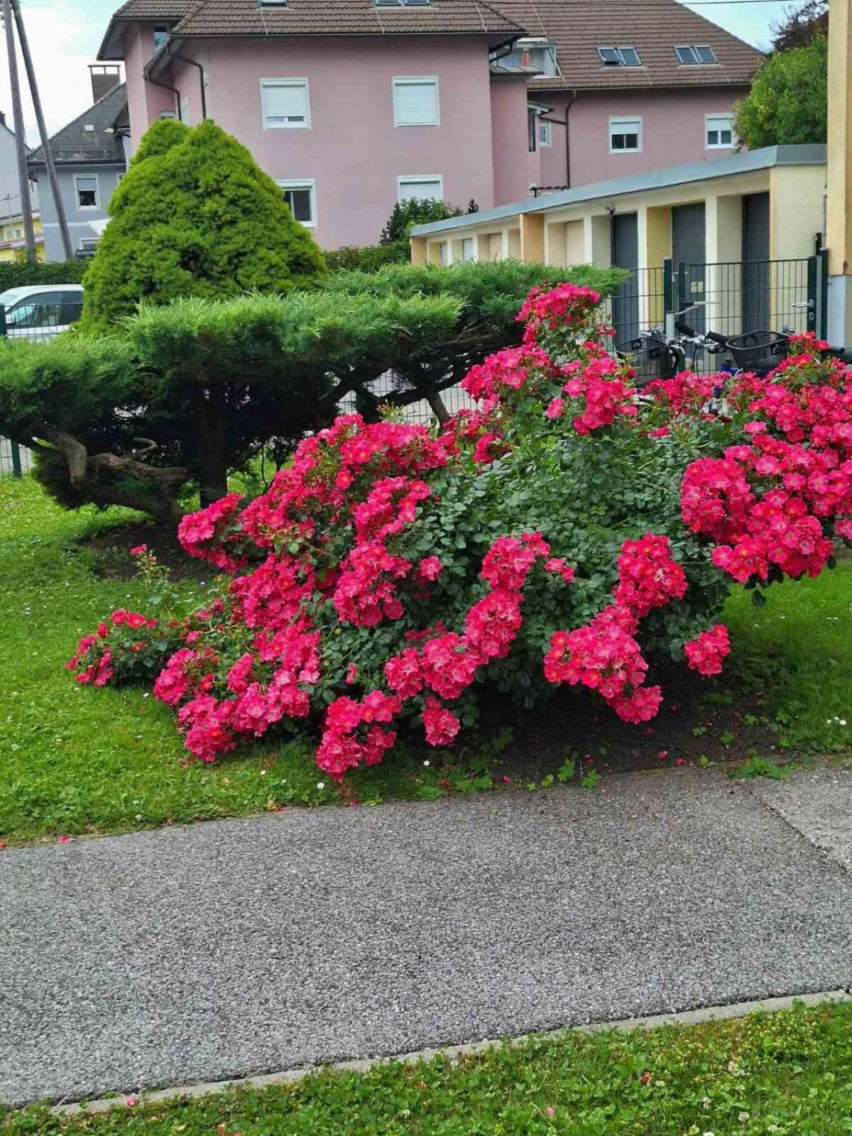 La Vida Appartment 1 Klagenfurt am Woerthersee Ngoại thất bức ảnh